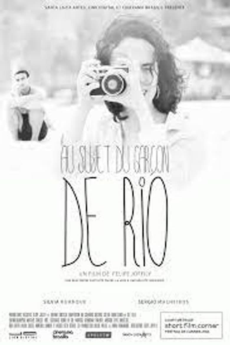 Sobre o Menino do Rio poster