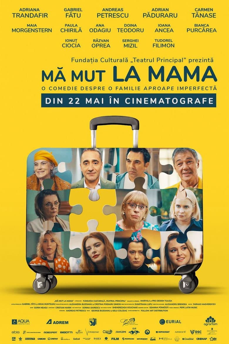 I'm Moving in with Mom poster