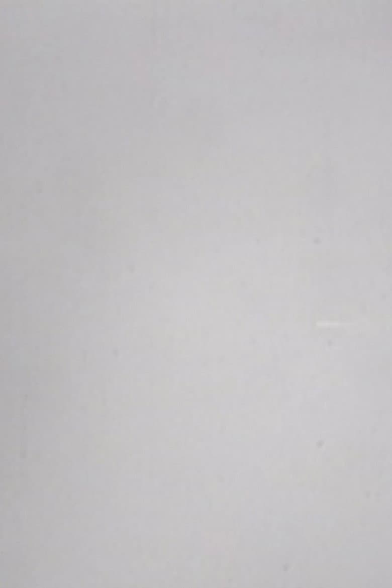 24 Frames per Second poster