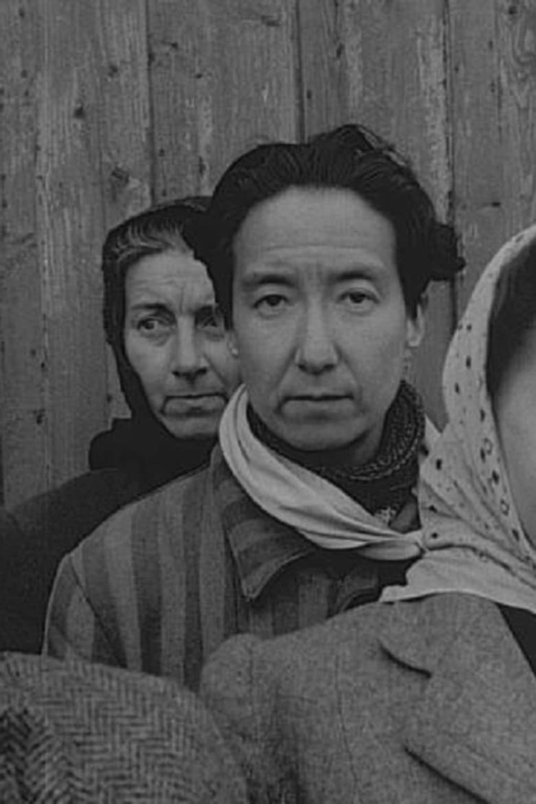 Vittnesbördet poster