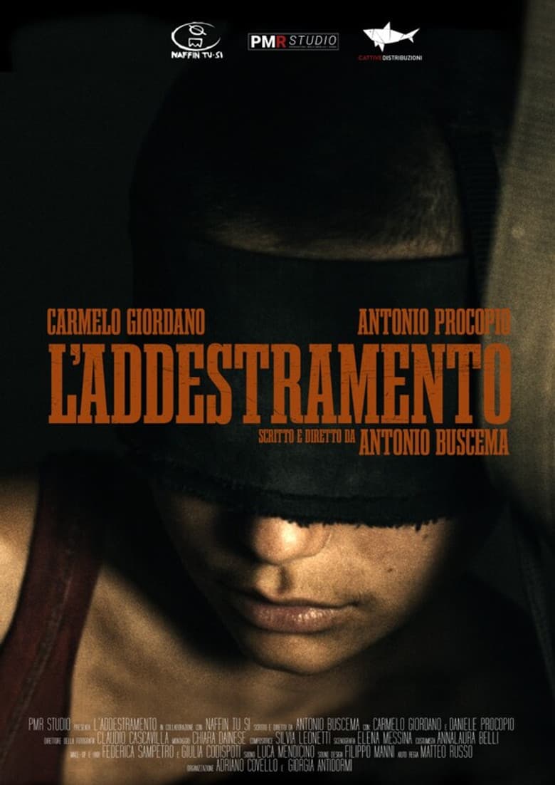 L'addestramento poster