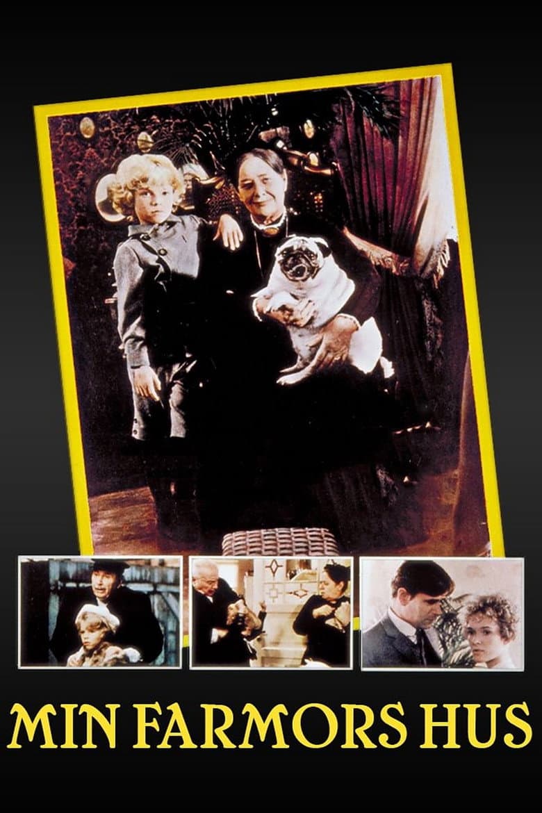 My Granny's House poster