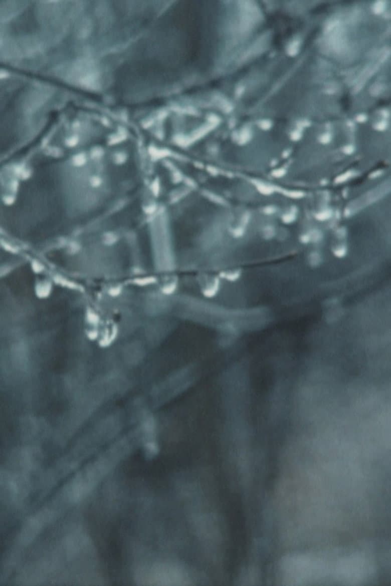 Super 8 Diary - 1989 poster