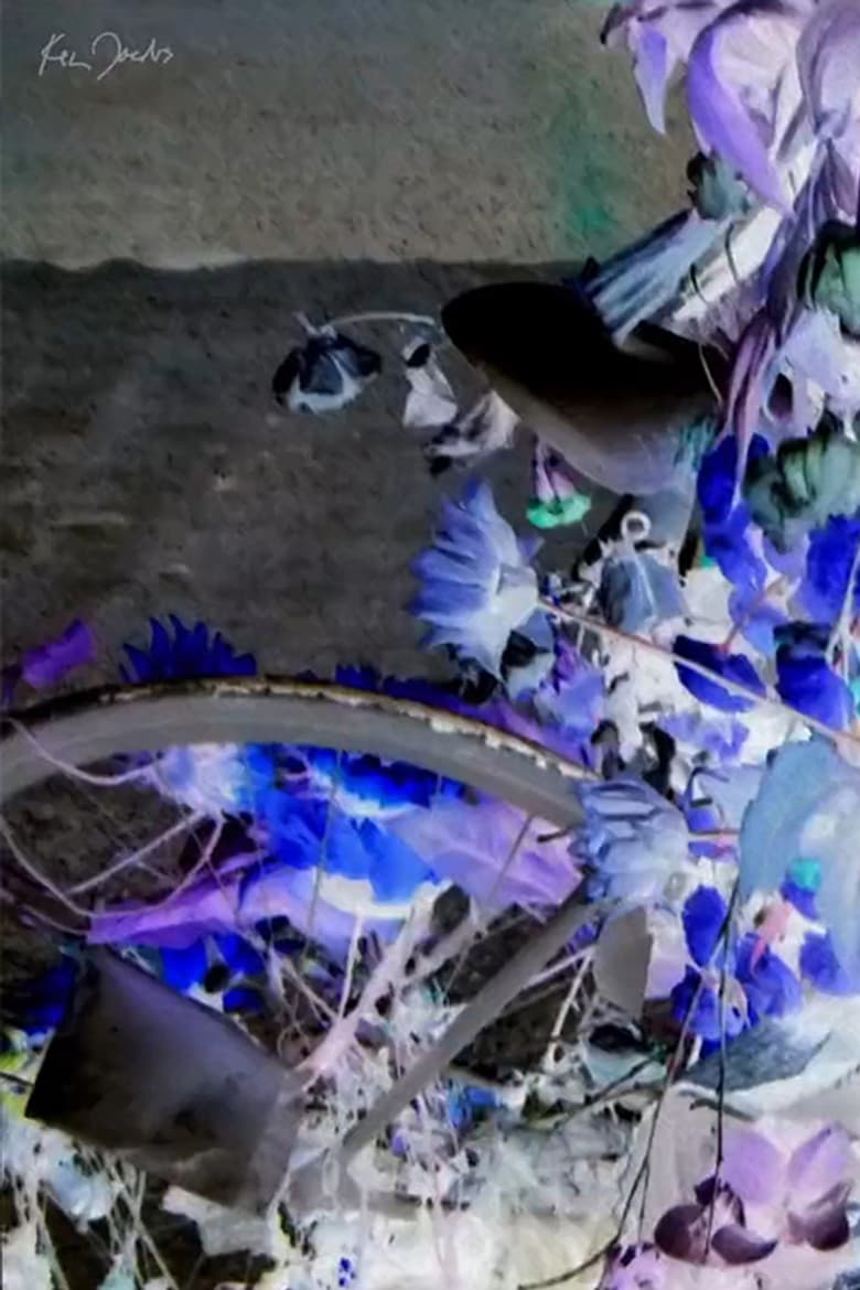 Flowers and Bike poster