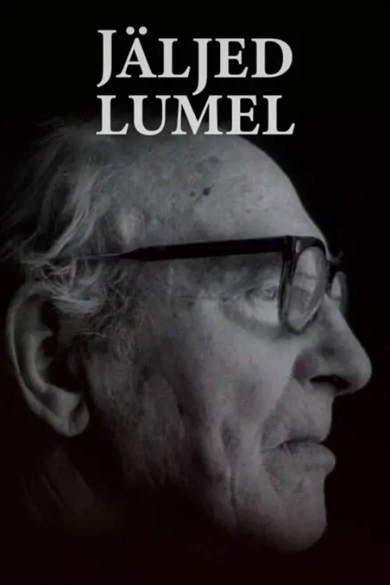 Tracks on Snow poster