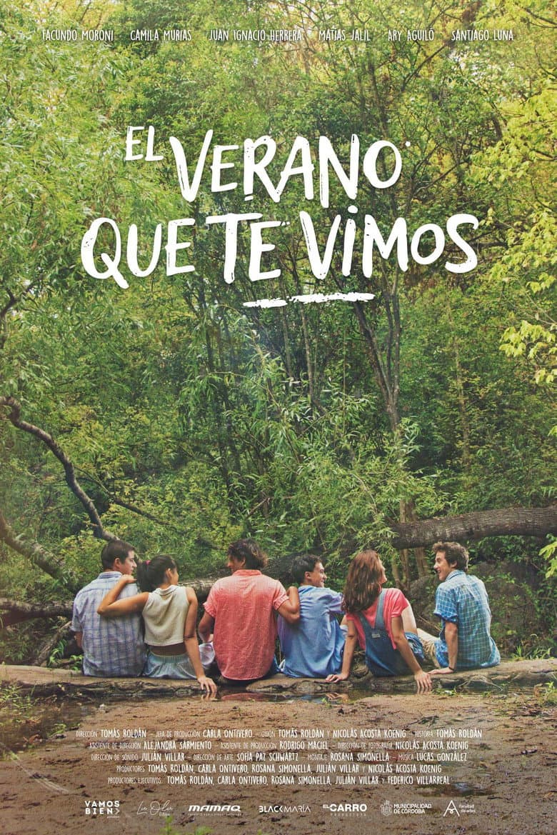 El verano que te vimos poster