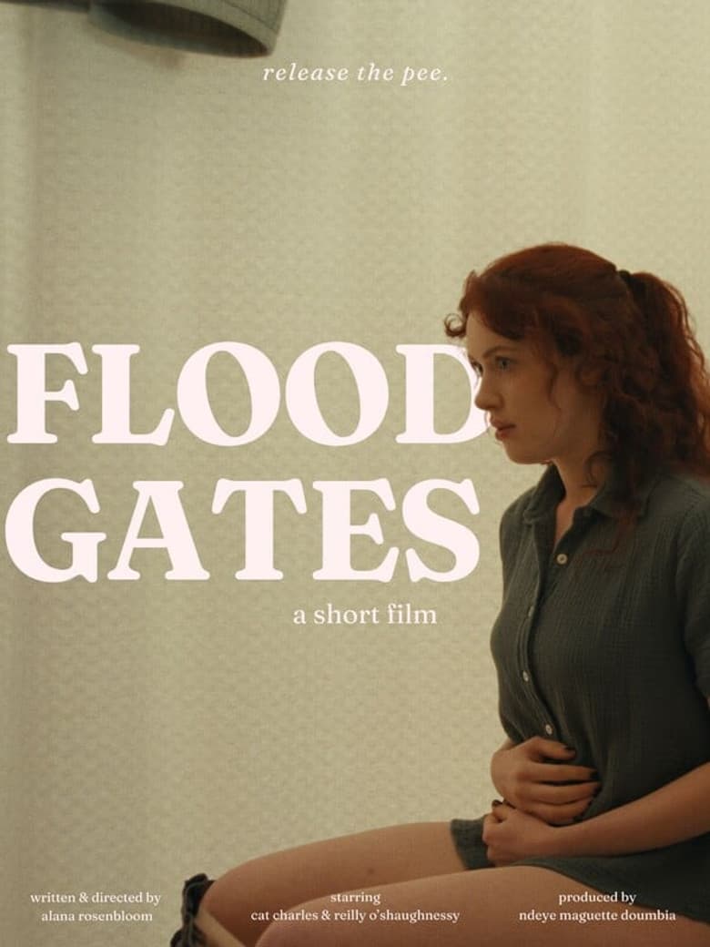 Floodgates poster
