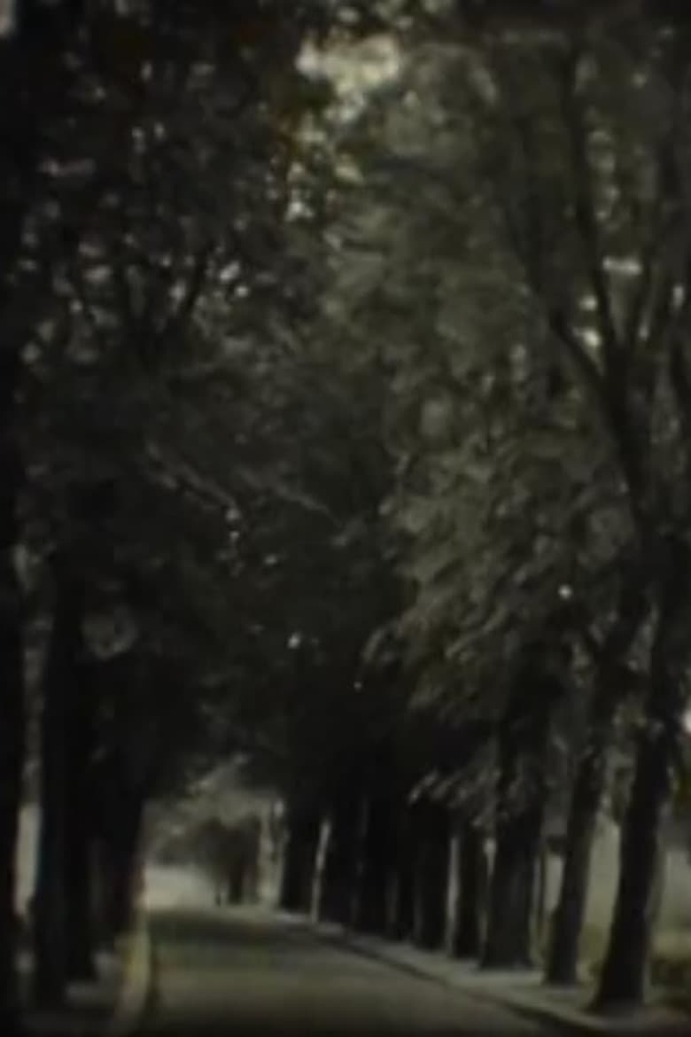 In Search of the Temple poster