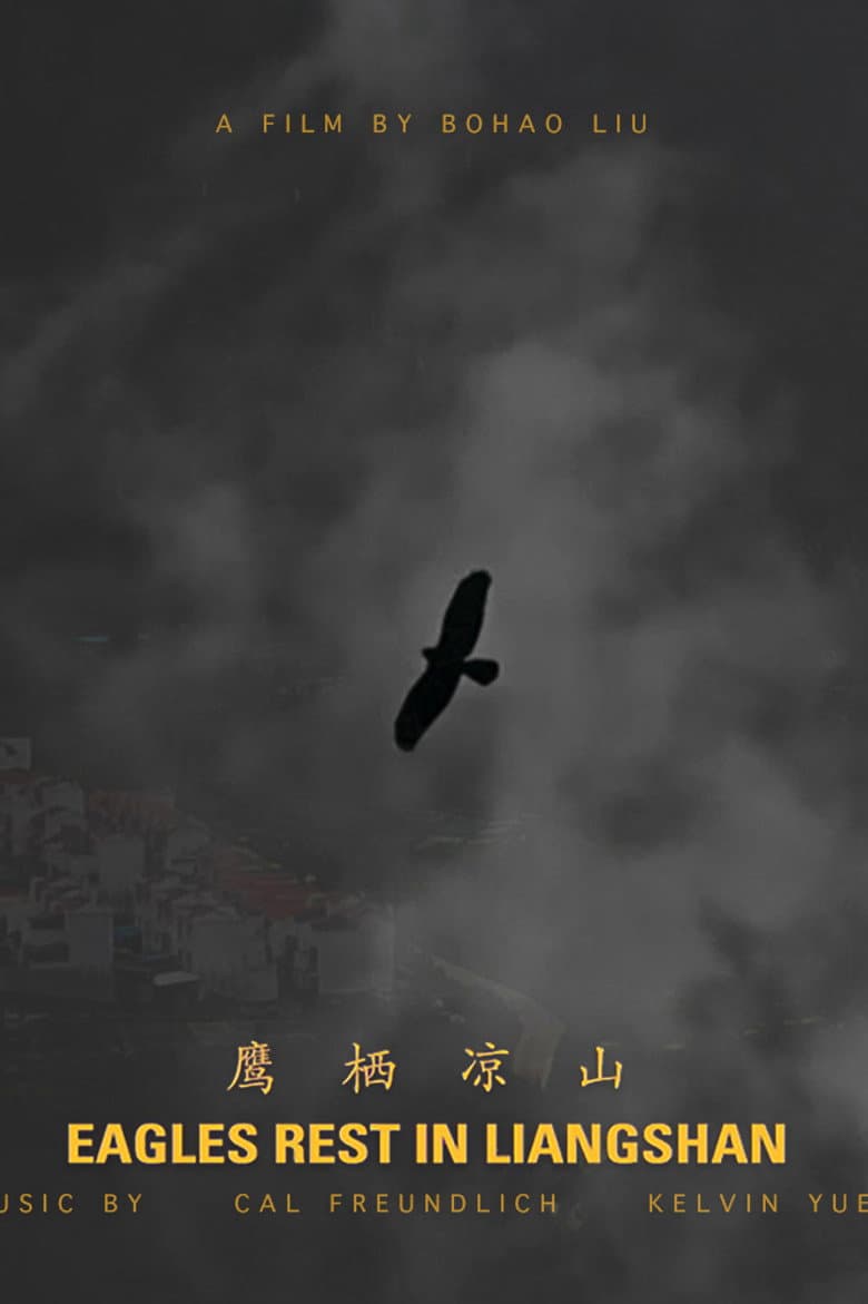 Eagles Rest in Liangshan poster