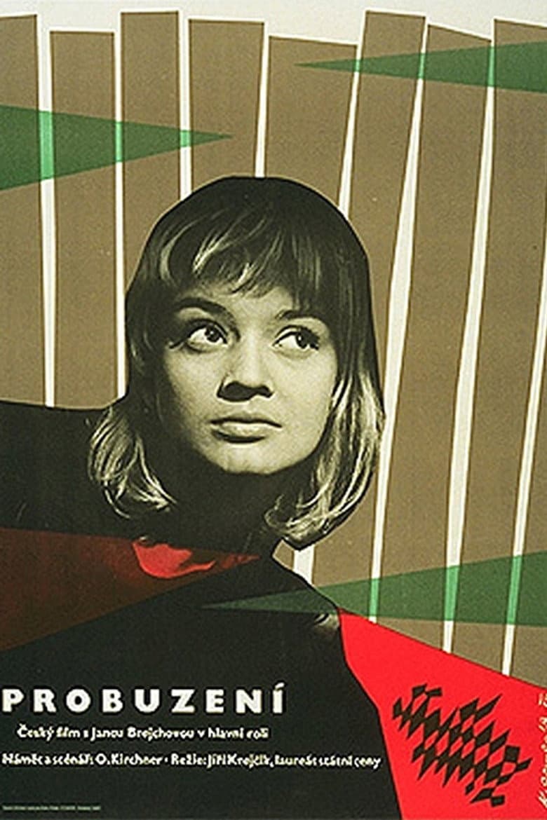 Probuzení poster