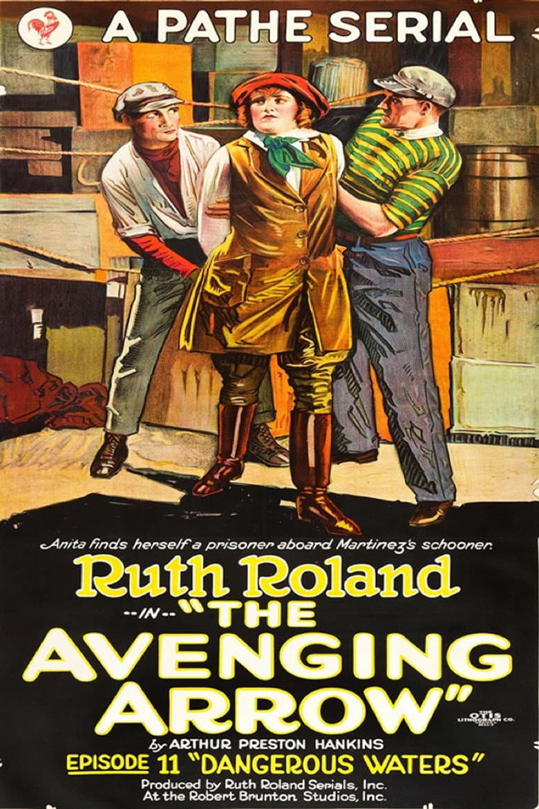 The Avenging Arrow poster