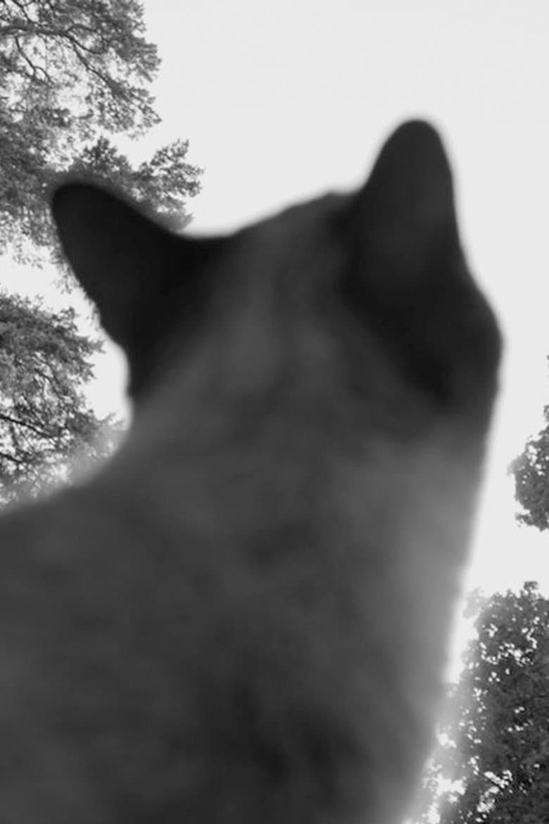 But Everyone Else Was Crying poster