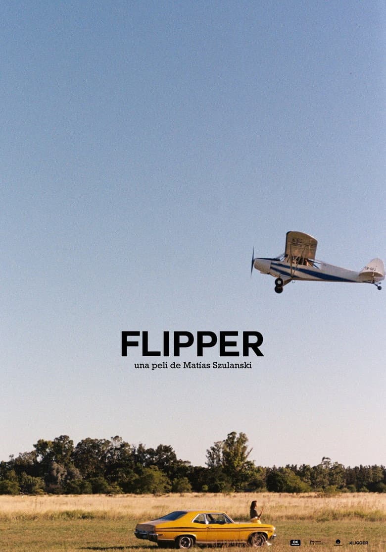 Flipper poster