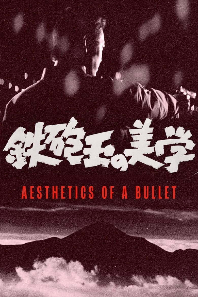 Aesthetics of a Bullet poster