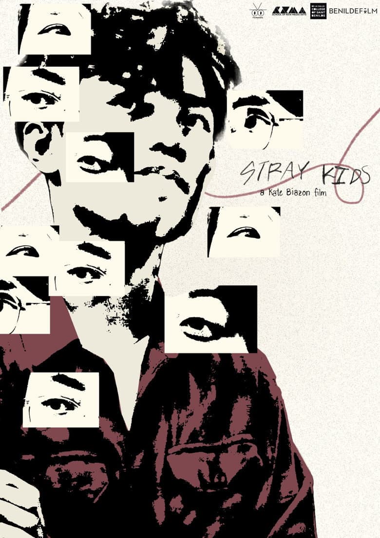 Stray Kids poster