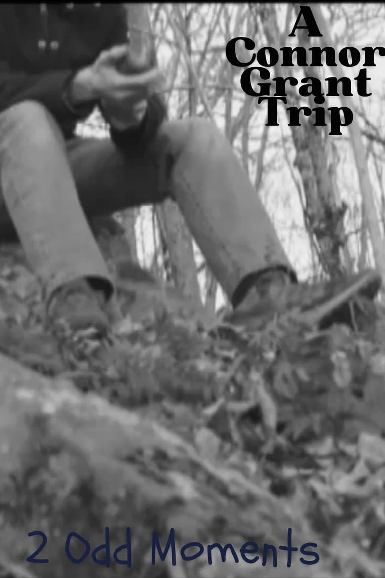 2 Odd Moments poster