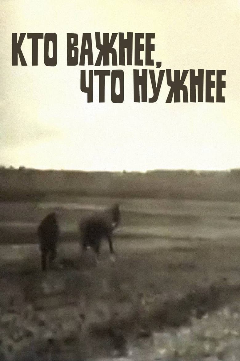 Who's More Important, What's More Necessary poster