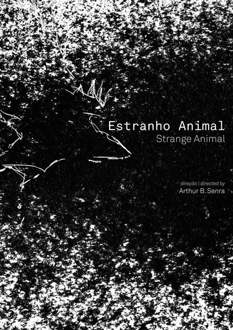 Estranho Animal poster