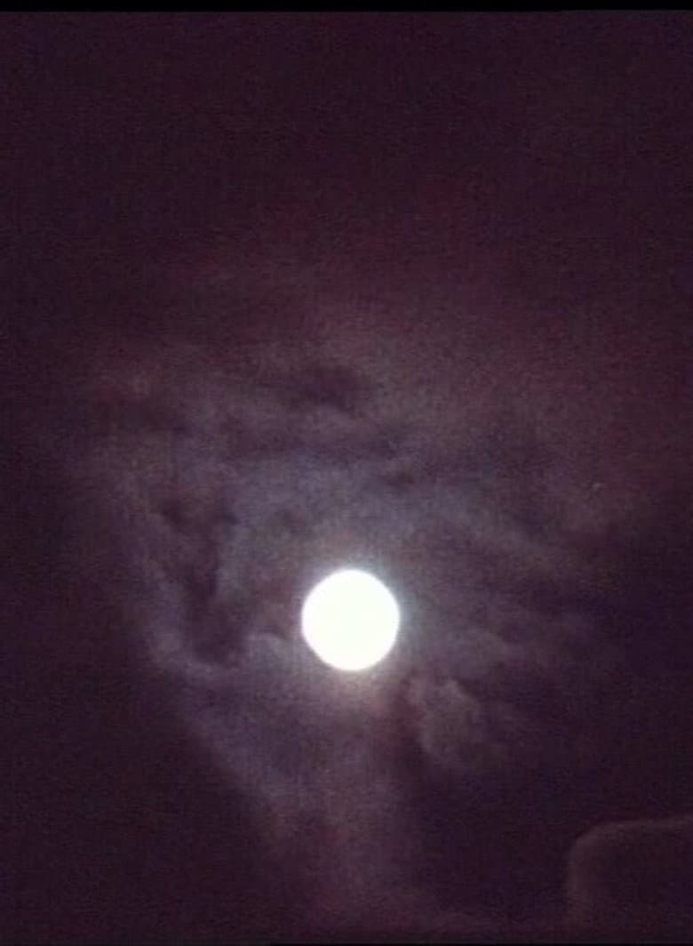 Die Sonne sank, ich folge ihr poster