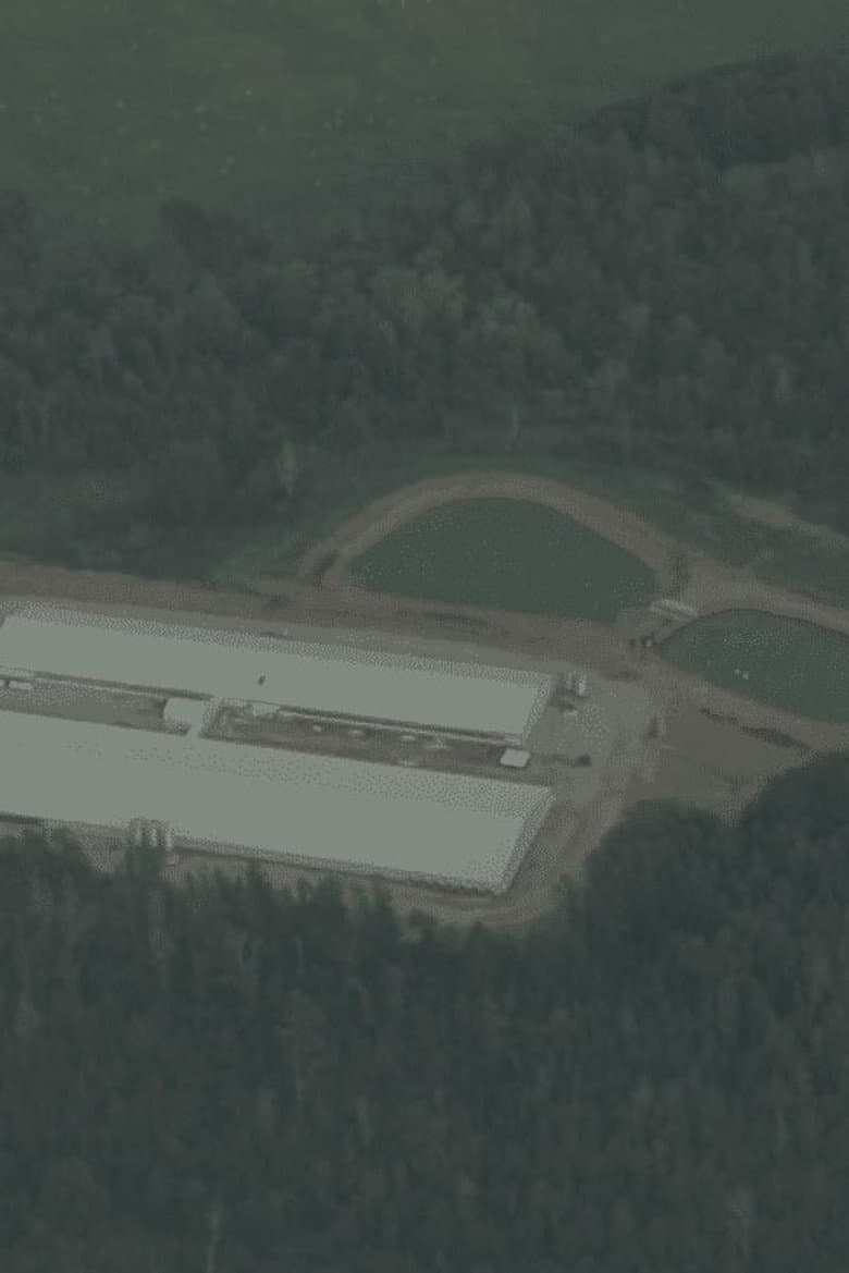 Cargill: Feast or Famine? poster