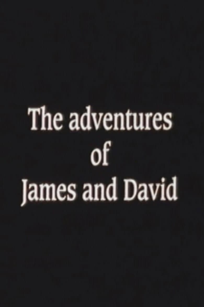 The Adventures of James and David poster