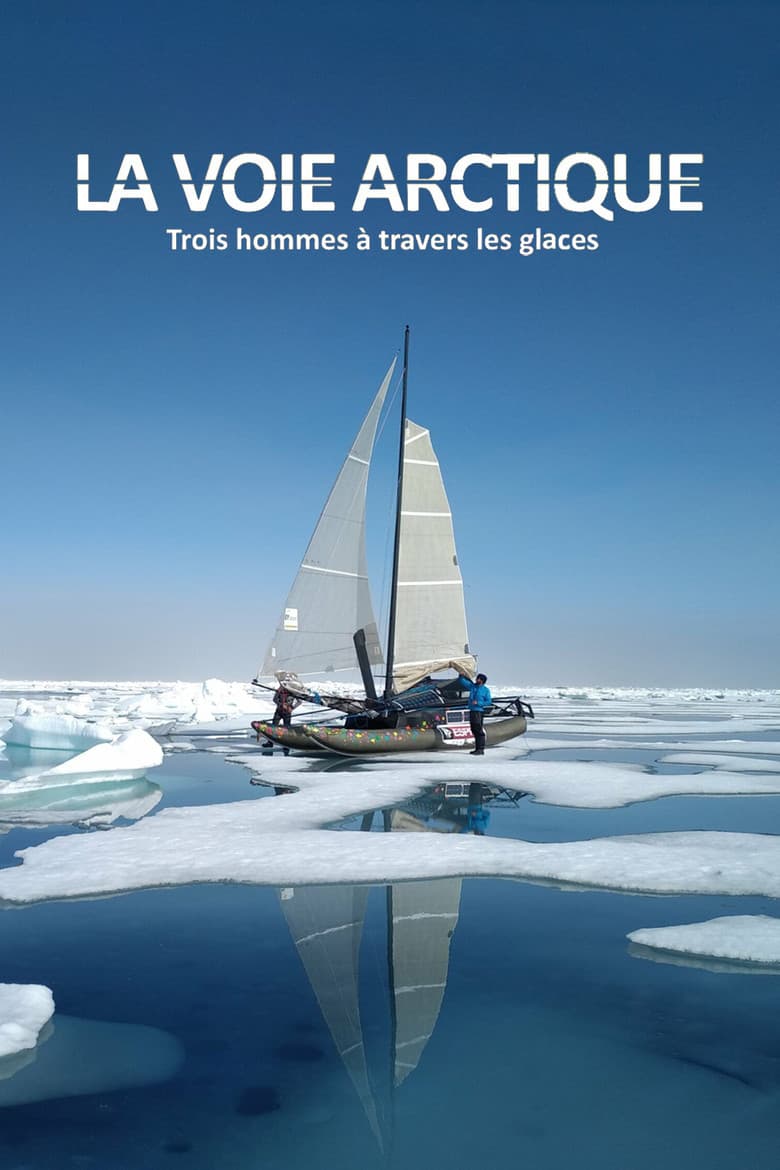La Voie arctique - Trois hommes à travers les glaces poster