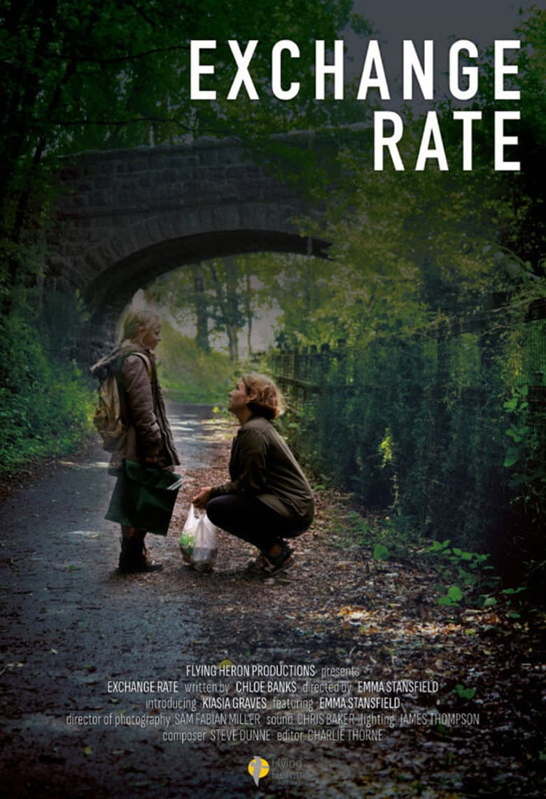 Exchange Rate poster