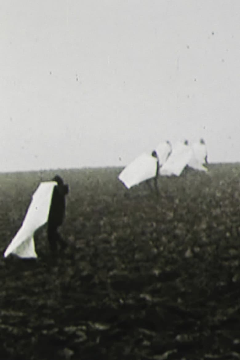 Landscape for White Squares poster