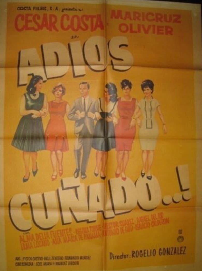 Adios cuñado poster
