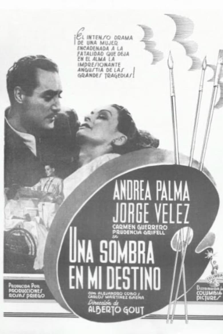Una sombra en mi destino poster