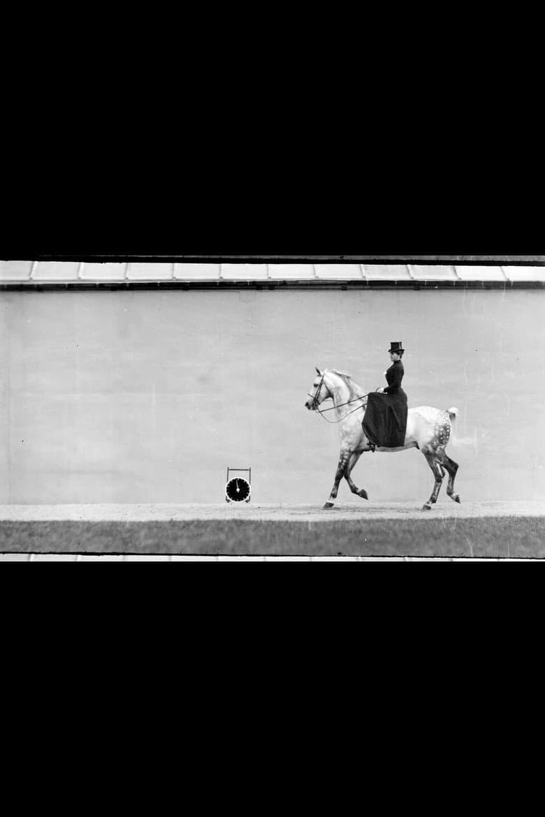Bay Horse, Ridden by Thérèse Rentz, Canter poster