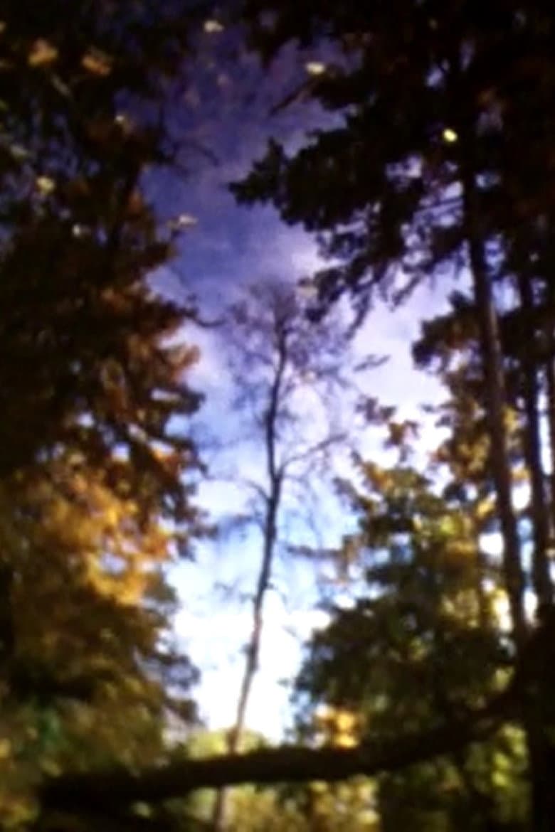 Un automne à Paris poster