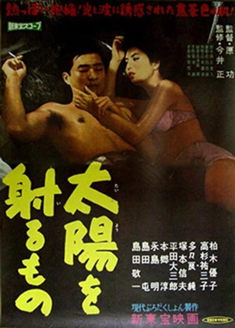 Taiyō o iru mono poster