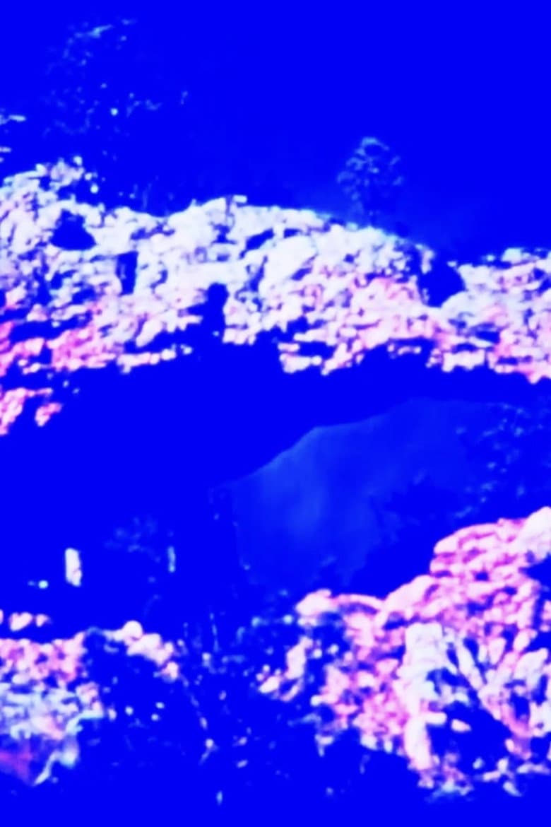 Autumn in Wyoming poster