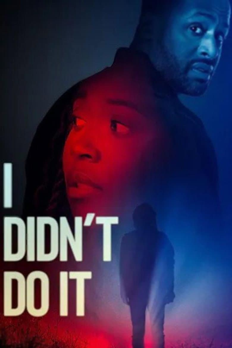 I Didn't Do It poster