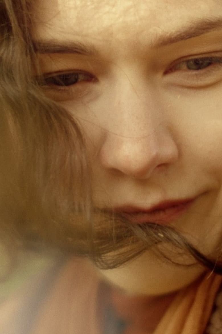 Forgotten Summer Haze poster