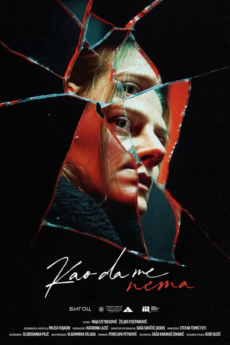As If I'm Not There poster