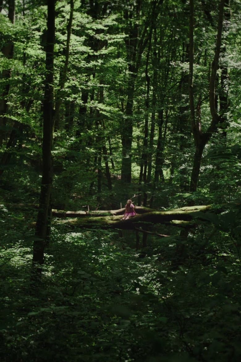 Kétoldali közelítés poster