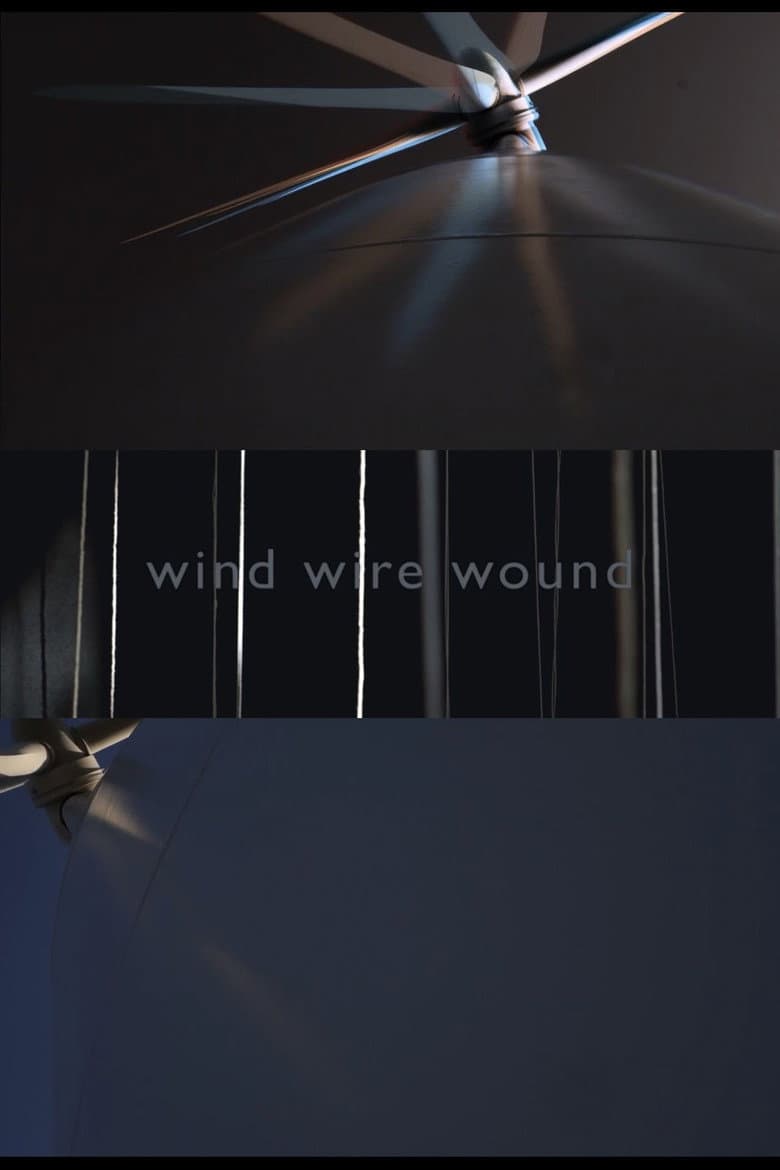 WIND WIRE WOUND poster