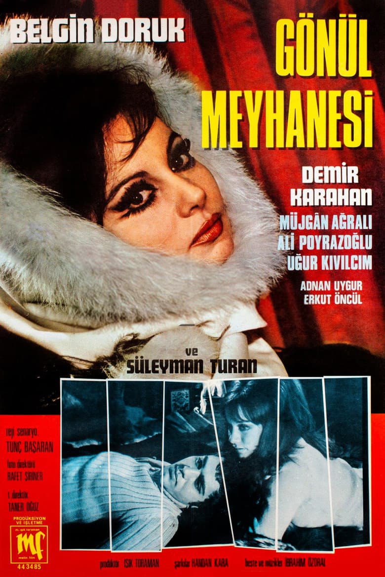 Gönül Meyhanesi poster