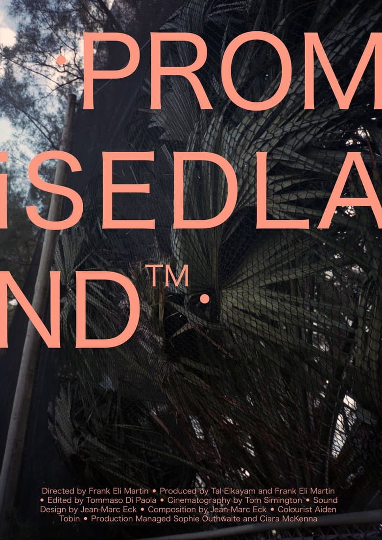 Promisedland™ poster