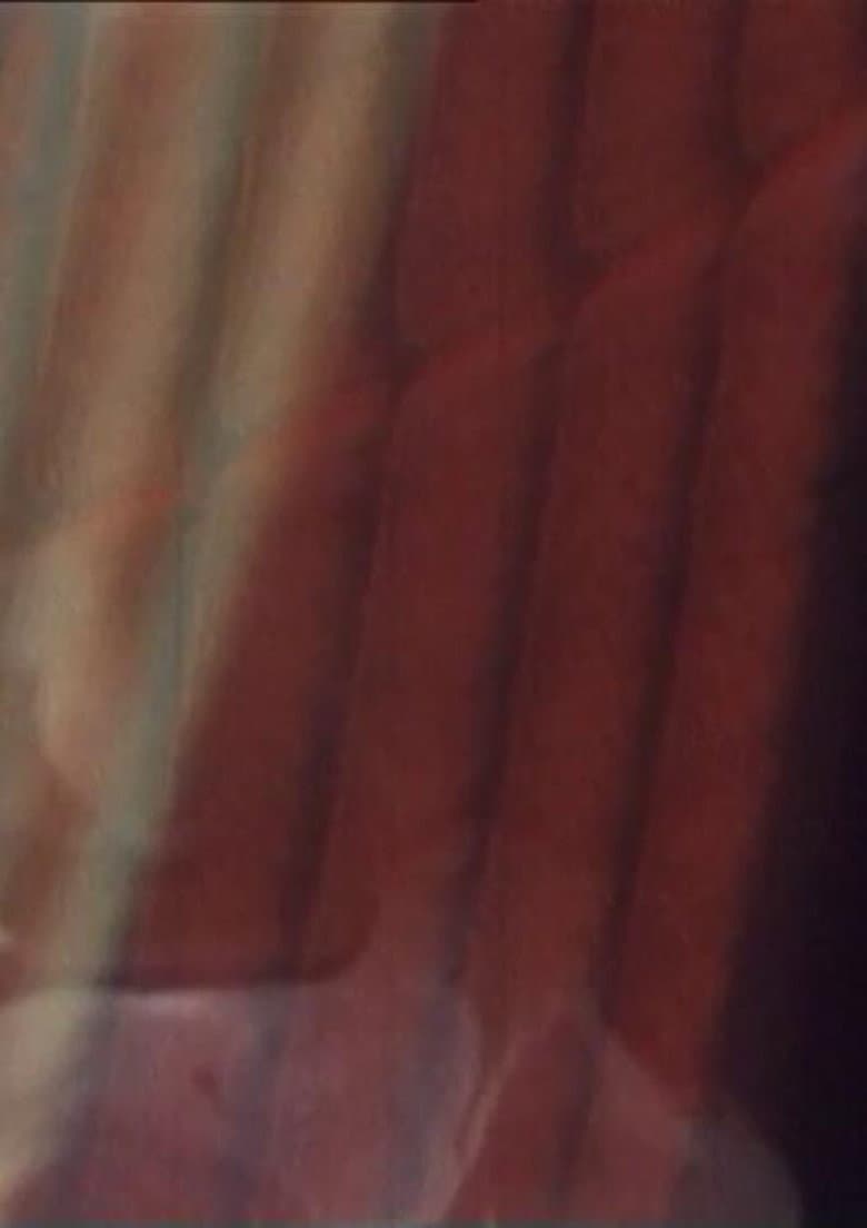 The Old Woman's Face, The Soup Tureen, Vreni Keller Speaks and Madame's Fanny poster