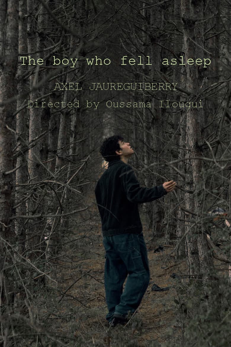 The boy who fell asleep poster
