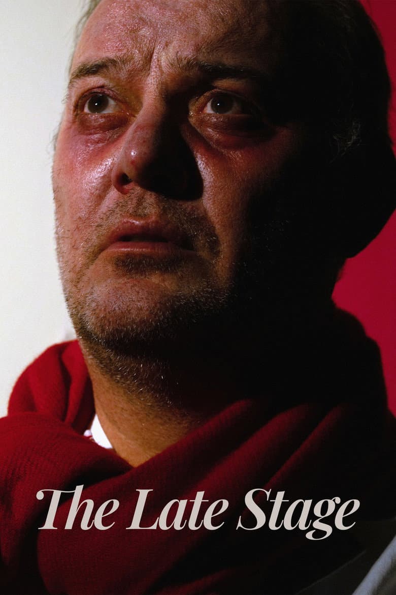 The Late Stage poster