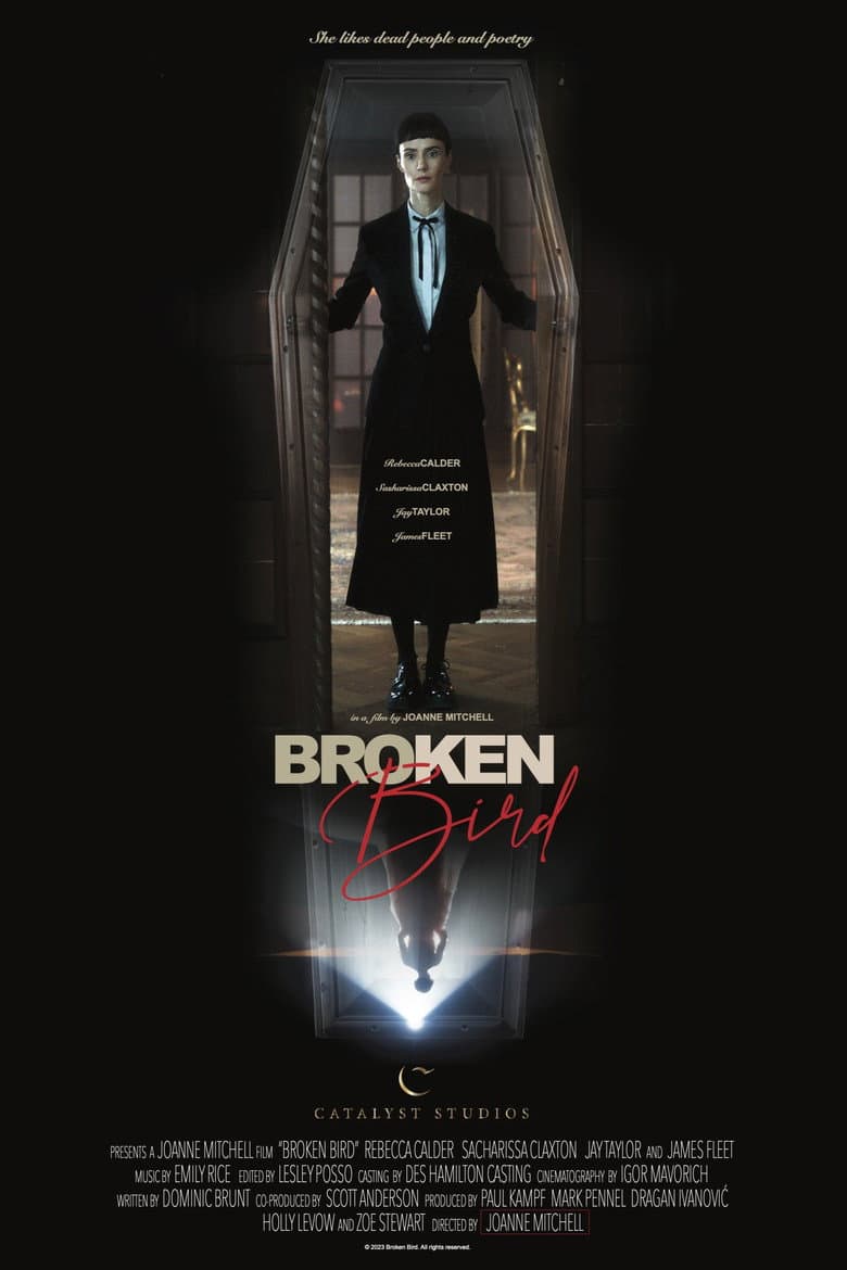 Broken Bird poster