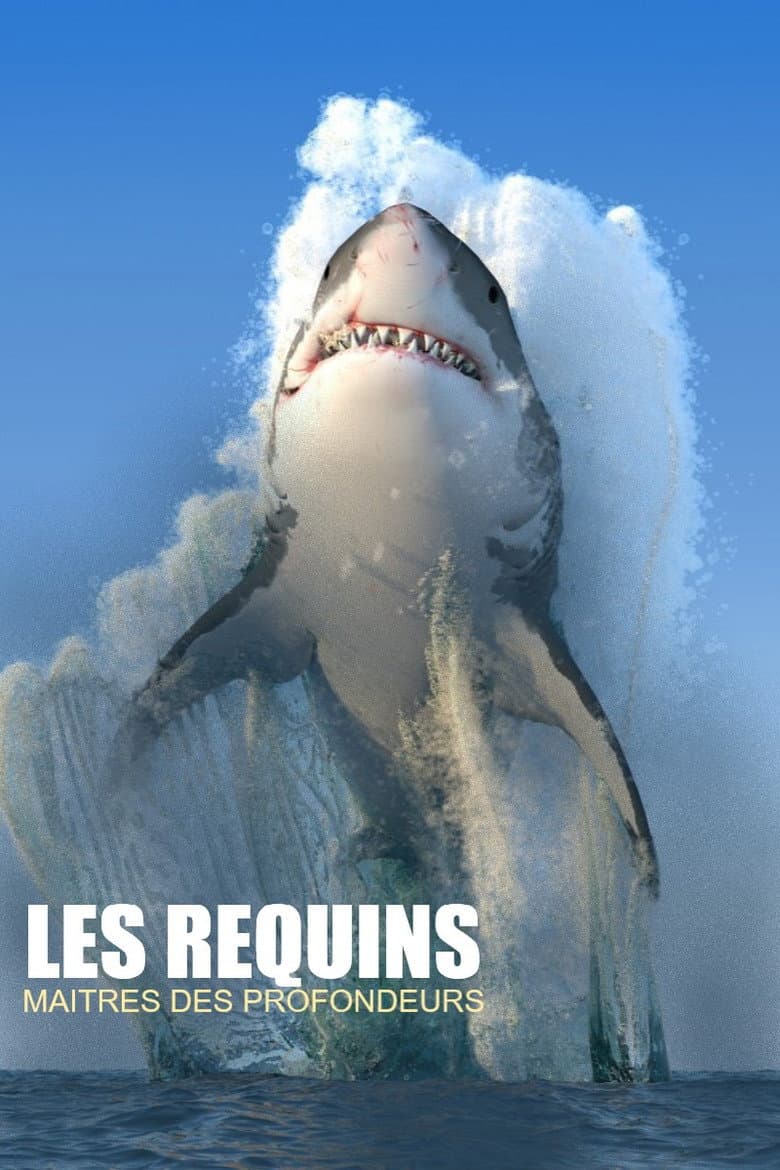 Les requins, maîtres des profondeurs poster