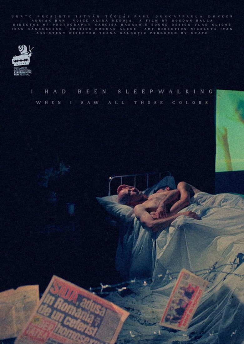 I Had Been Sleepwalking When I Saw All Those Colors poster