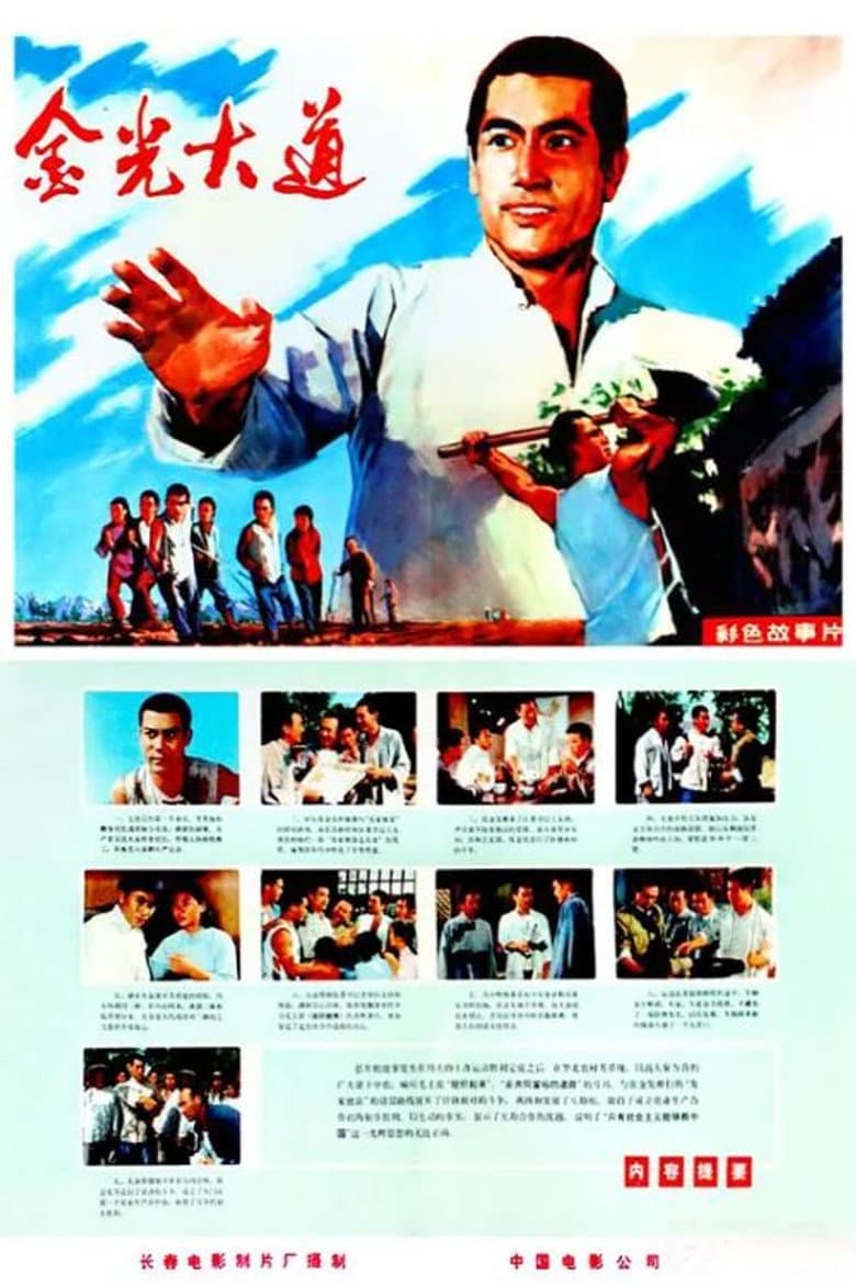 Jin guang da dao shang ji poster