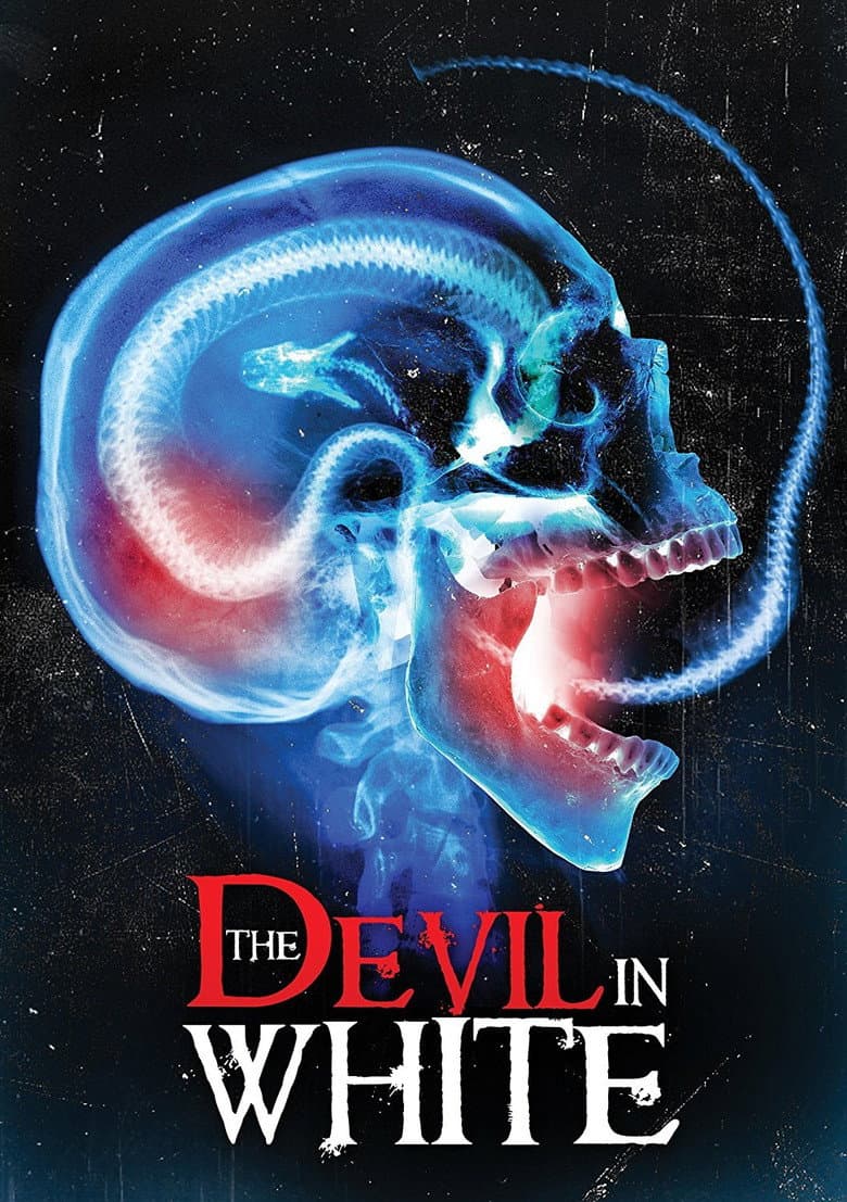The Devil in White poster
