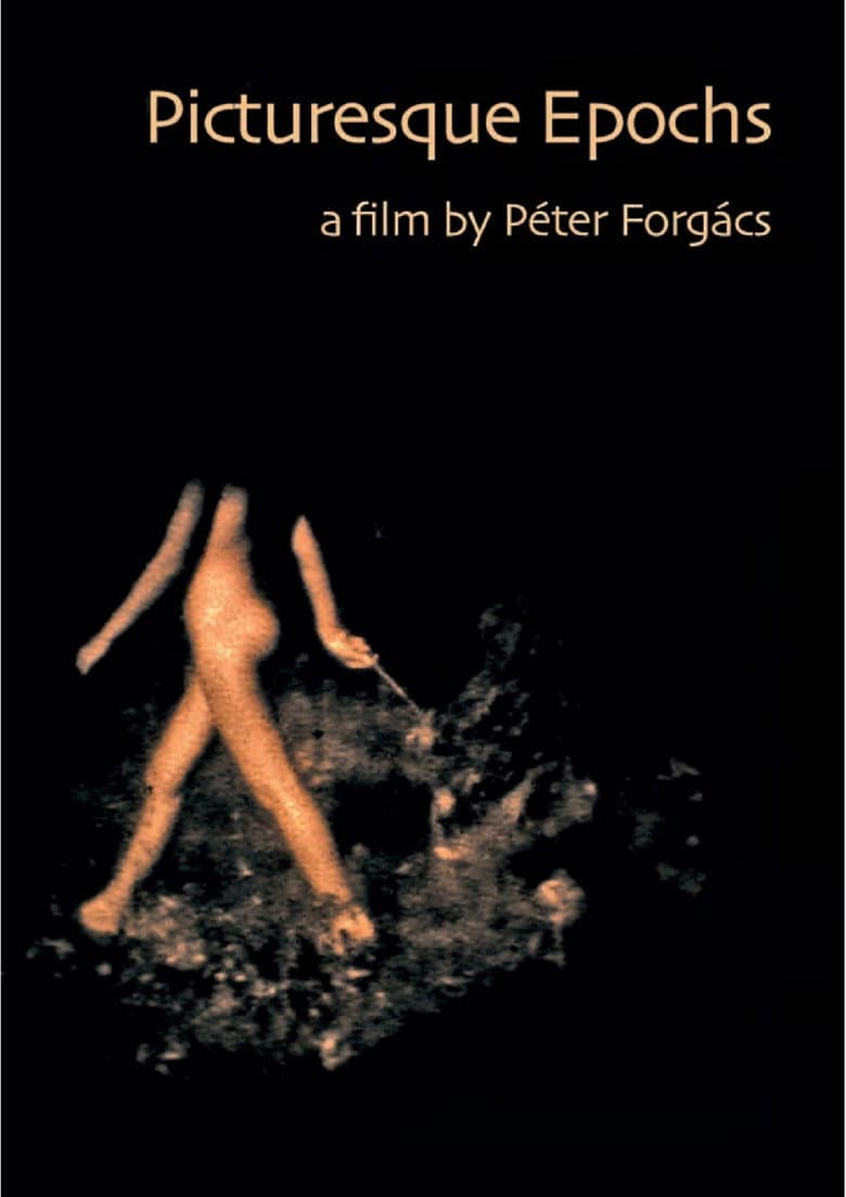 Picturesque Epochs poster